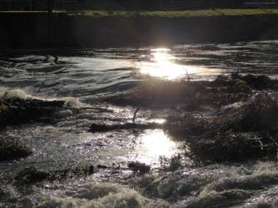 Die Lohr in der Lohrer Wöhrde